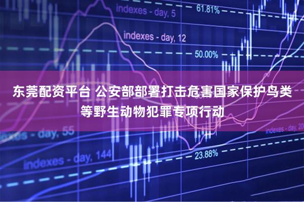 东莞配资平台 公安部部署打击危害国家保护鸟类等野生动物犯罪专项行动