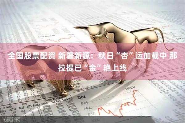 全国股票配资 新疆新源：秋日“杏”运加载中 那拉提已“金”艳上线