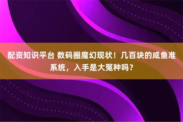 配资知识平台 数码圈魔幻现状！几百块的咸鱼准系统，入手是大冤种吗？